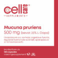 Mucuna-Pruriens-500-mg-25-L-dopa-1