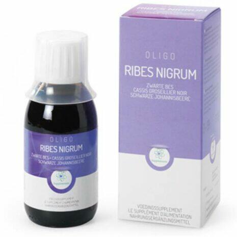 Ribes-Nigrum